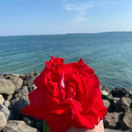 アパート Sea View On The Sunny スヴェティ・ヴラス